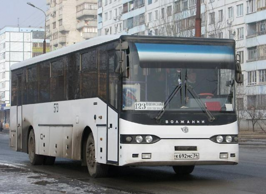 Междугородние автобусы 123 и 146 «вернутся» с 1 января