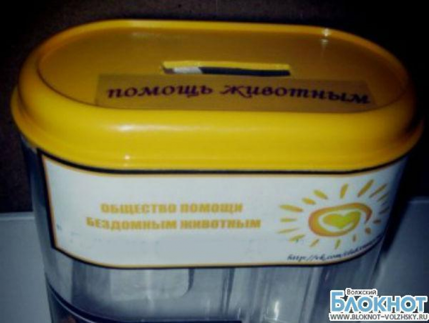 На юге Волгограда из зоомагазина украли ящик для пожертвований