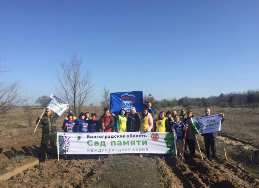 Более 200 тысяч деревьев высажено ко Дню Победы в Волгоградской области