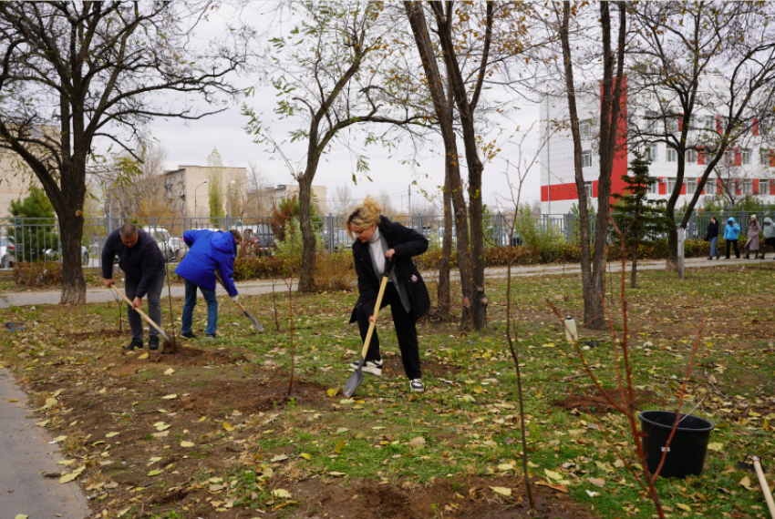 В Волжском облагородили участок близ больницы имени Фишера