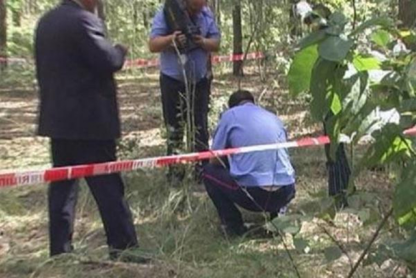 Под Волгоградом в лесополосе найден сожженный труп 34-летней женщины