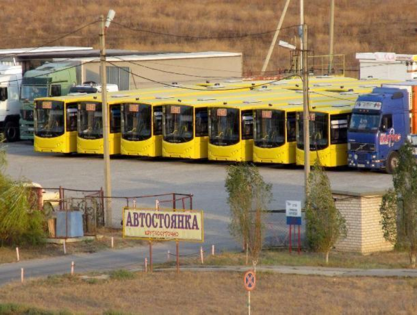 Волжане сделали фото автобусов, которые ждут отправки в другие регионы