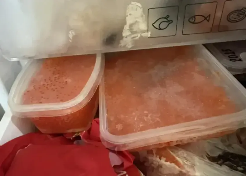 В Волгоградской области пресекли канал поставок редкого деликатеса