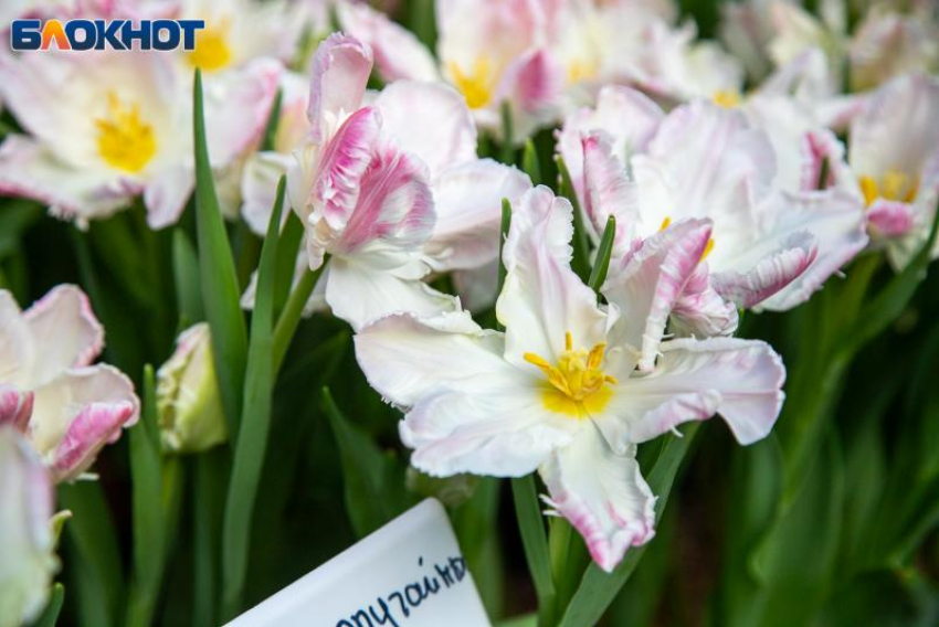 Энергетика дня подтолкнет к теплу: гороскоп на 19 ноября