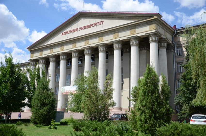 В Волгограде декан университета и 2 его коллеги похитили 4 млн рублей из стипендиального фонда