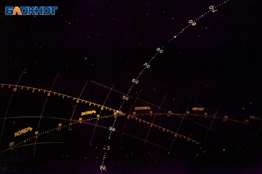 Сегодня звезды ведут себя скупо: гороскоп на 14 января