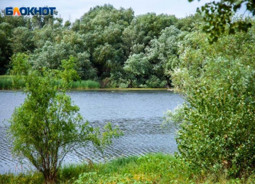 Экодвижение пытаются признать иноагентом из-за Волго-Ахтубинской поймы: мнение общественника
