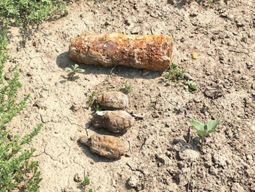В Волгоградской области обнаружен снаряд рядом с пляжем