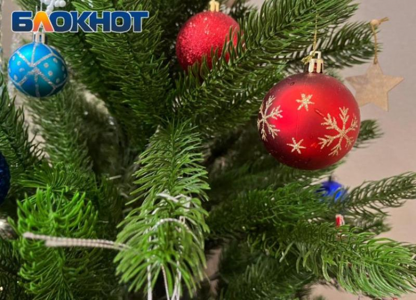 Елка, глинтвейн и любимые фильмы: «Блокнот Волжский» о том, как поднять новогоднее настроение