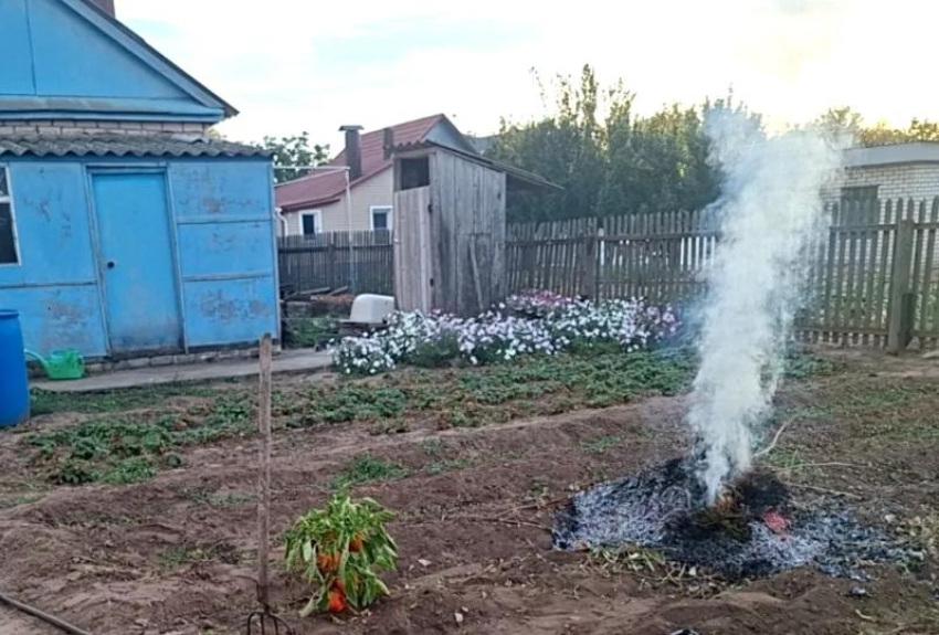 Волжанам напомнили о штрафах за костры и сжигание мусора