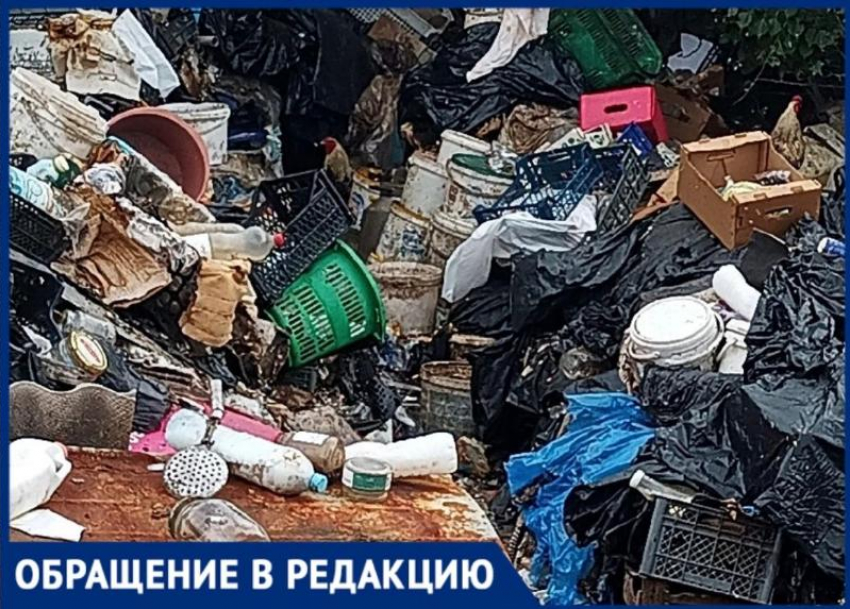В Волжском страдают от соседства с мужчиной, разводящим кур и гусей