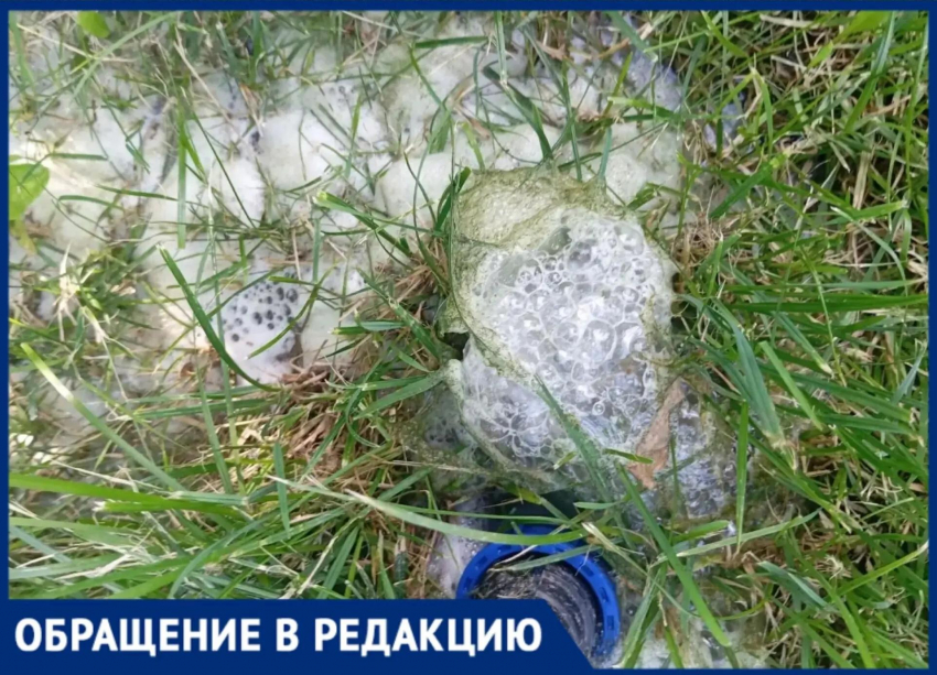 Экологическая катастрофа в СНТ «Цветущий сад»: садоводов травят нечистотами из водопровода