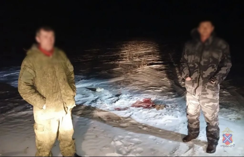 Убили трёх краснокнижных сайгаков ради мяса: под Волжским охотники пойдут под суд