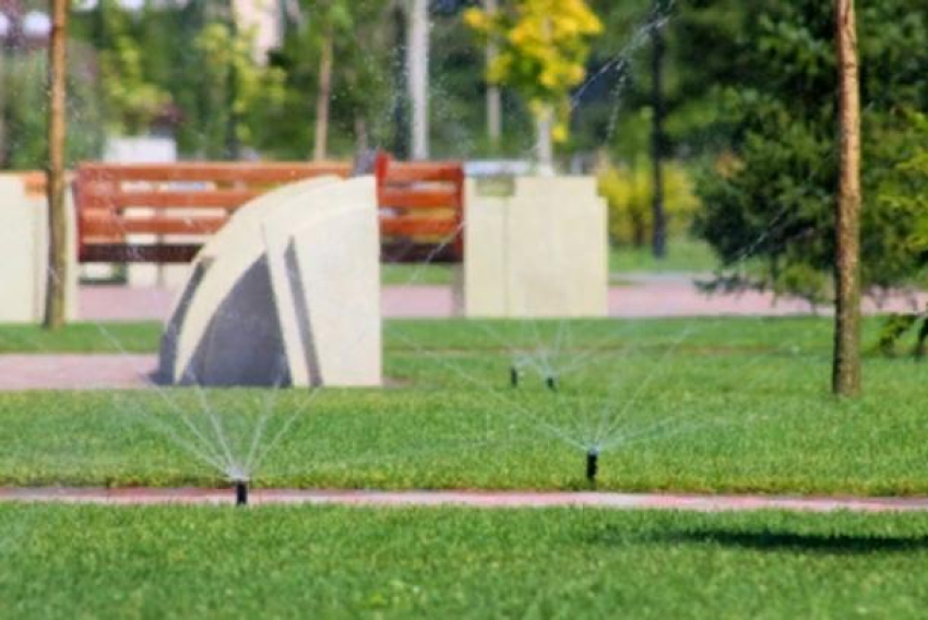 В Волжском создан штаб по контролю за поливом зеленых наслаждений