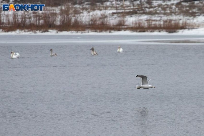 Мороз крепчает: погода в Волжском на выходных