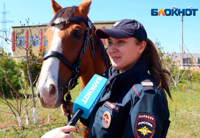 Волжская конная полиция получила новую амуницию для лошадей