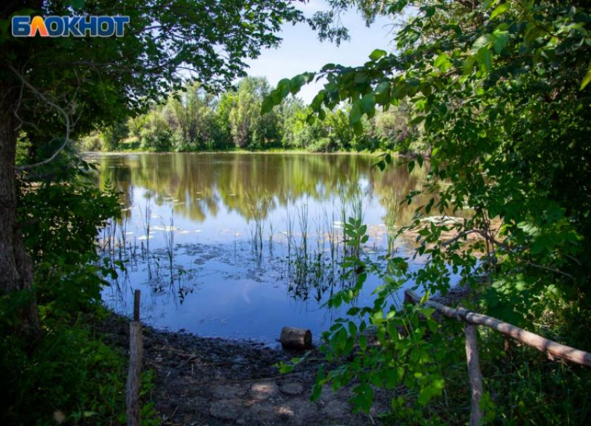 На озере лотосов близ Волжского установят биотуалеты