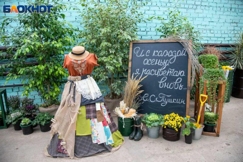 Главная цветочная выставка в Волжском побила рекорд по посещаемости