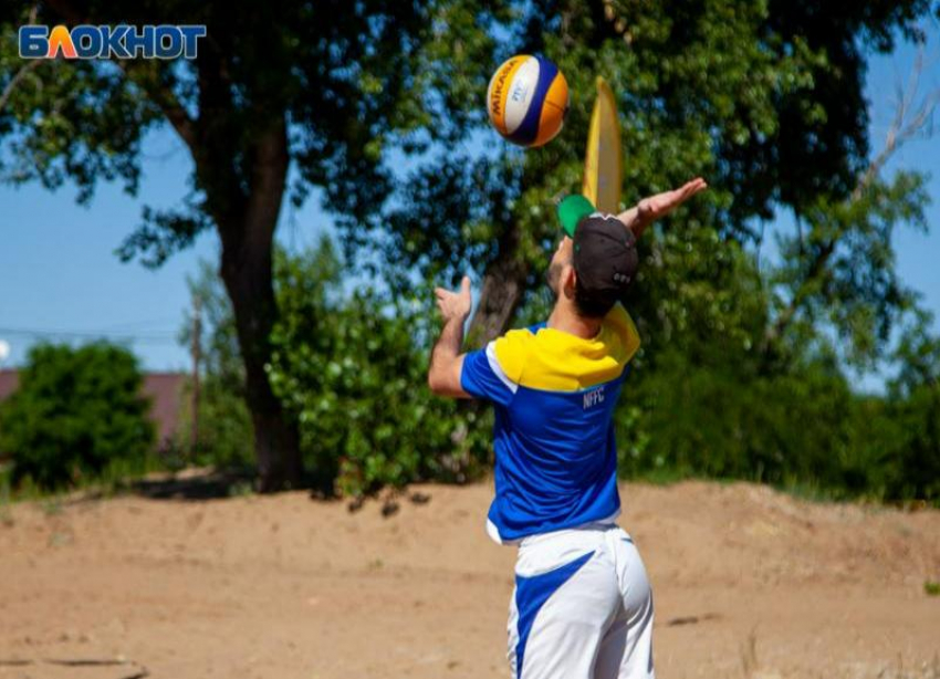В Волжском пройдет грибной дождь