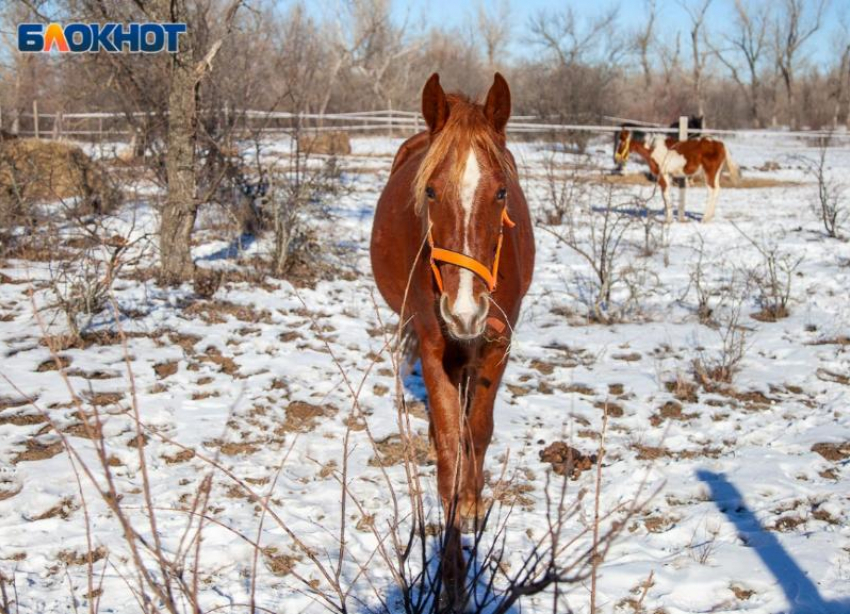 Солнце и магнитная буря придут в Волжский в среду: прогноз погоды
