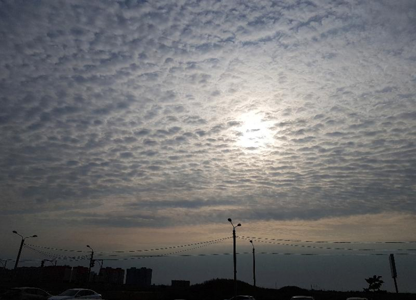 Синоптики в среду обещают дождливую погоду