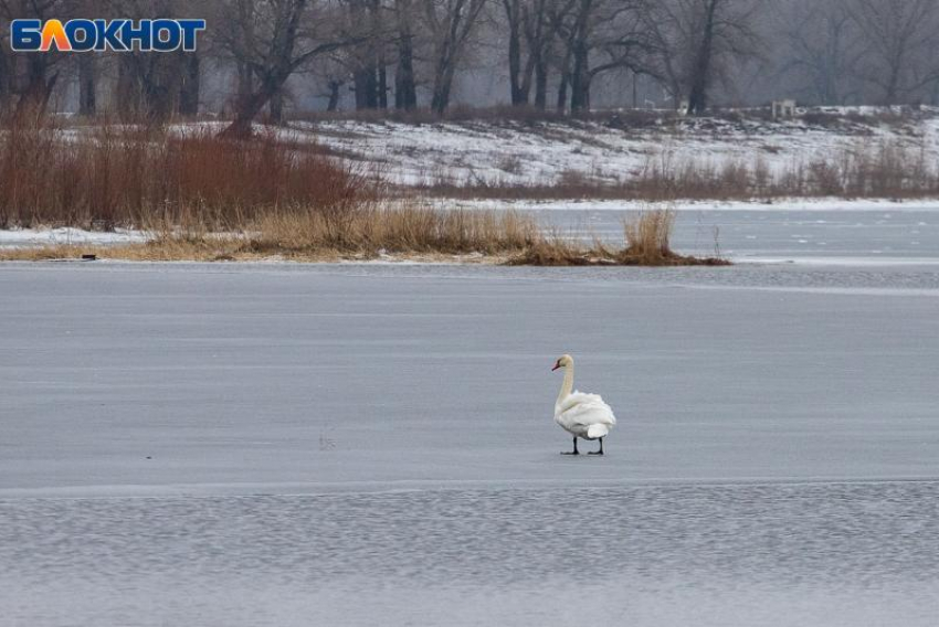 По ощущениям -24 градуса: погода в Волжском