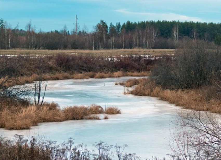 При расчистке ериков и озер Волго-Ахтубинской поймы организация «прикарманила» почти 55 миллионов рублей