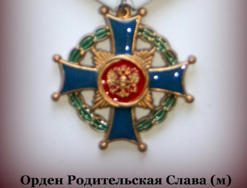 Семью из Волжского наградили орденом «Родительская слава"