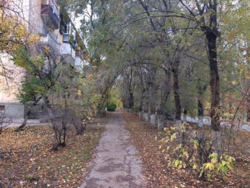 Туманный день пообещали синоптики волжанам в выходной день