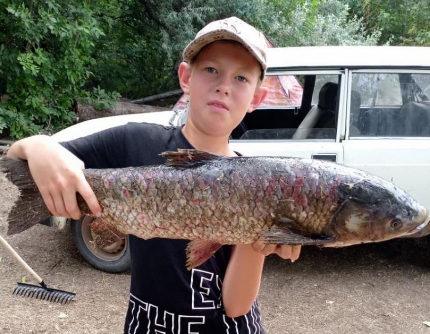 11-летний волжанин поймал белого амура «голыми руками»
