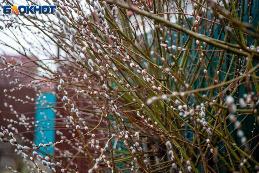 Выходные не порадуют жителей Волжского солнцем