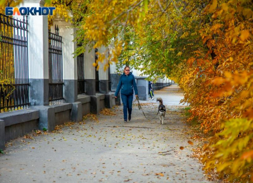 Похолодало: прогноз погоды на среду в Волжском