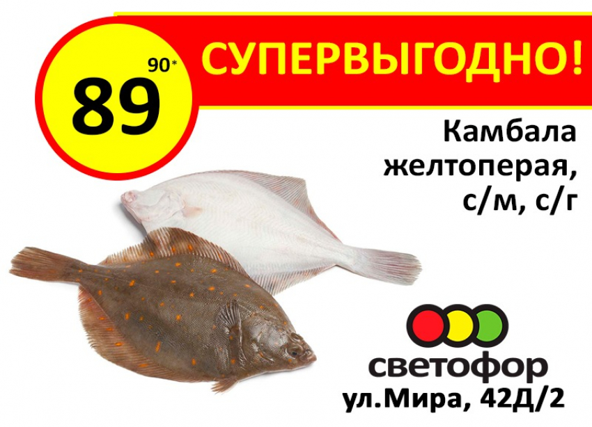 Светофор в Орше: Каталог продуктов, акции и скидки | resses.ru