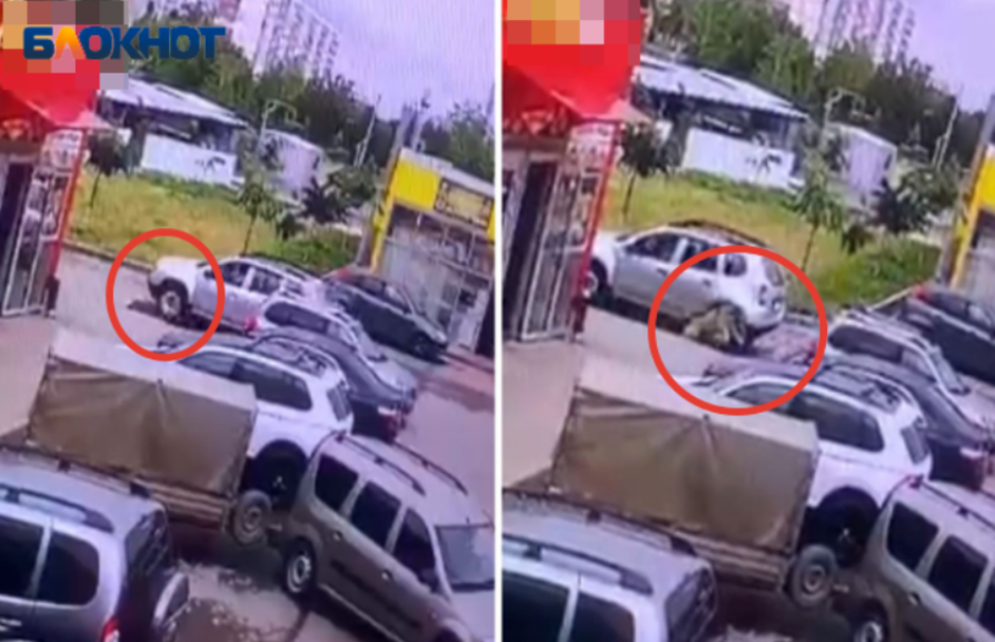 «Недомужик купил беляшей и поехал по псу на машине»: страшное видео с рынка в Волжском