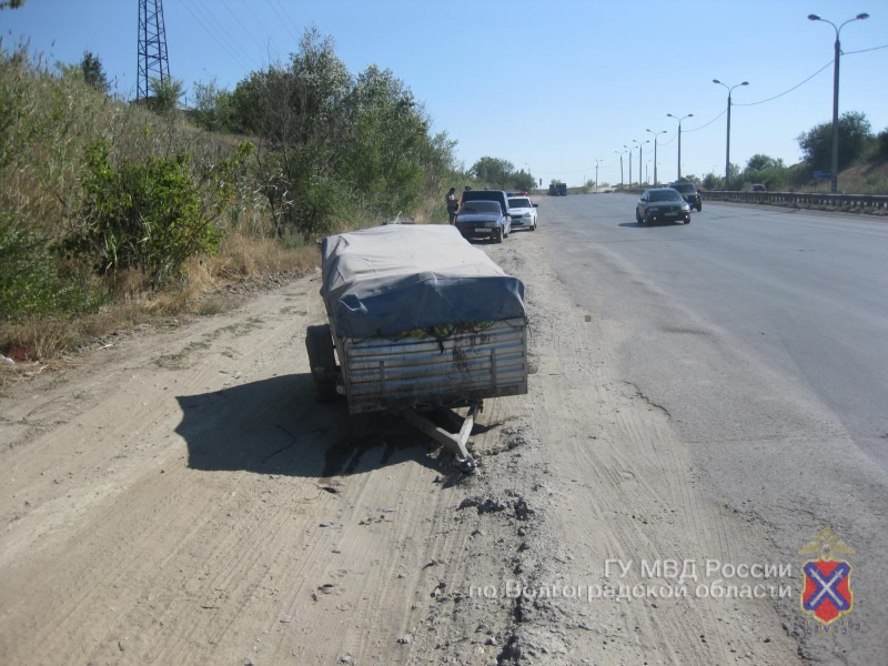 арбуз2.jpg