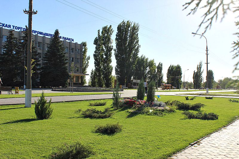 клумба2.jpg