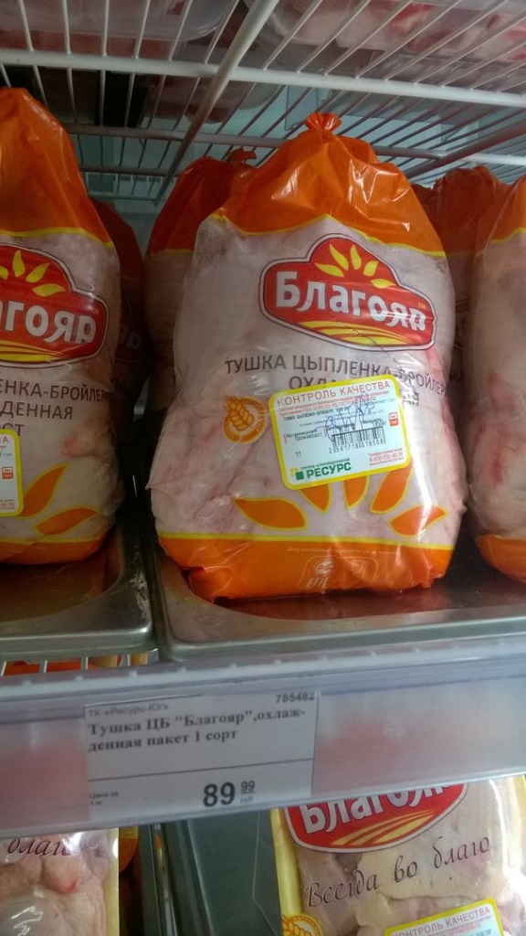 кура 4.jpg кура 4.jpg