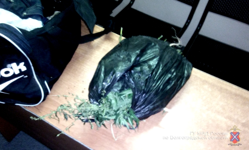 1(136)-800x600.jpg 1(136)-800x600.jpg