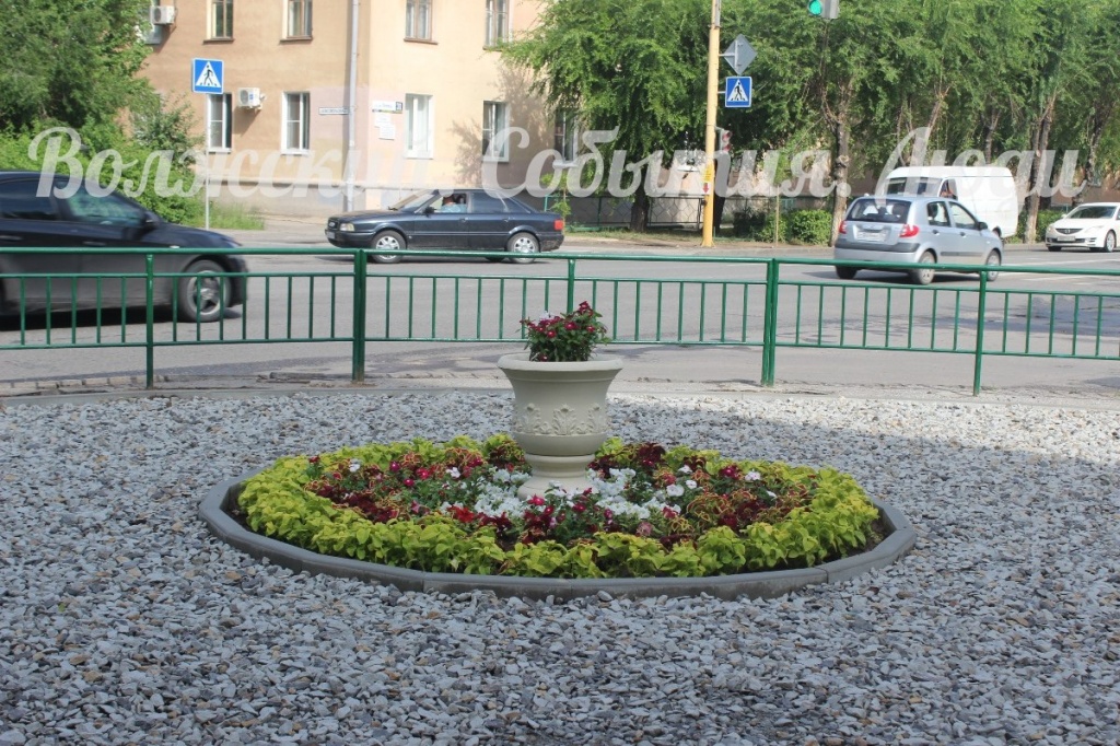 клумбы2.jpg клумбы2.jpg