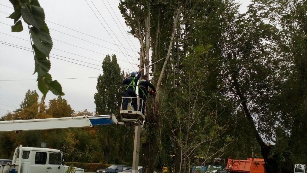 TJcF4PPJ25E.jpg TJcF4PPJ25E.jpg