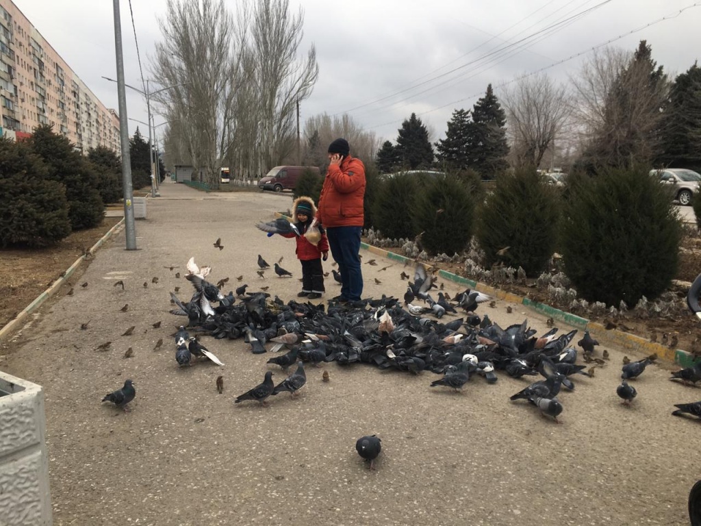 WhatsApp Image 2020-01-01 at 15.04.08.jpeg