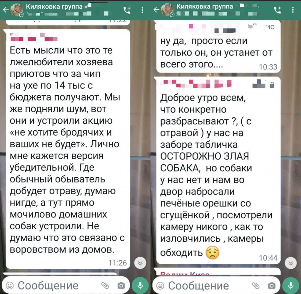 Месть за бродячих собак»: домашних животных травят в поселке под Волжским