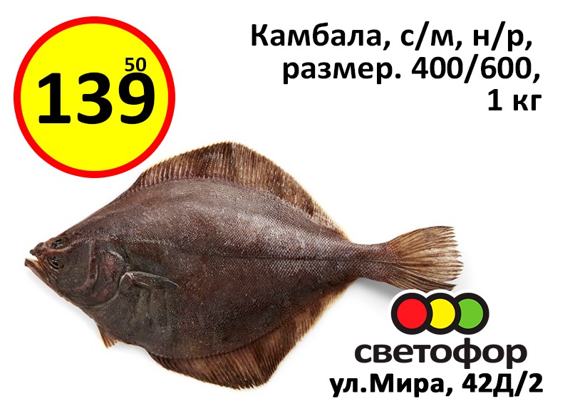 WhatsApp Image 2022-02-03 at 13.28.05.jpeg