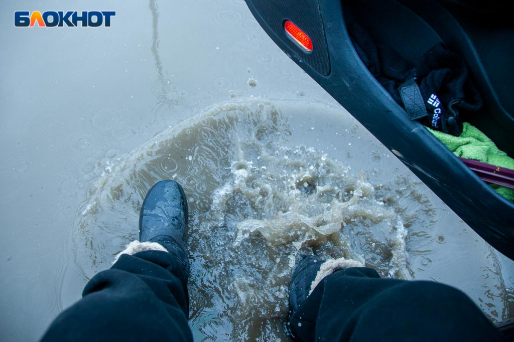 IMG_4902.jpg IMG_4902.jpg