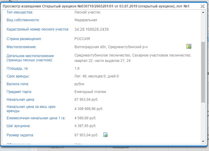 торги лес.jpg торги лес.jpg