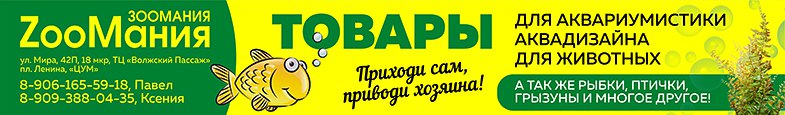 aPto0ZgGNsE.jpg