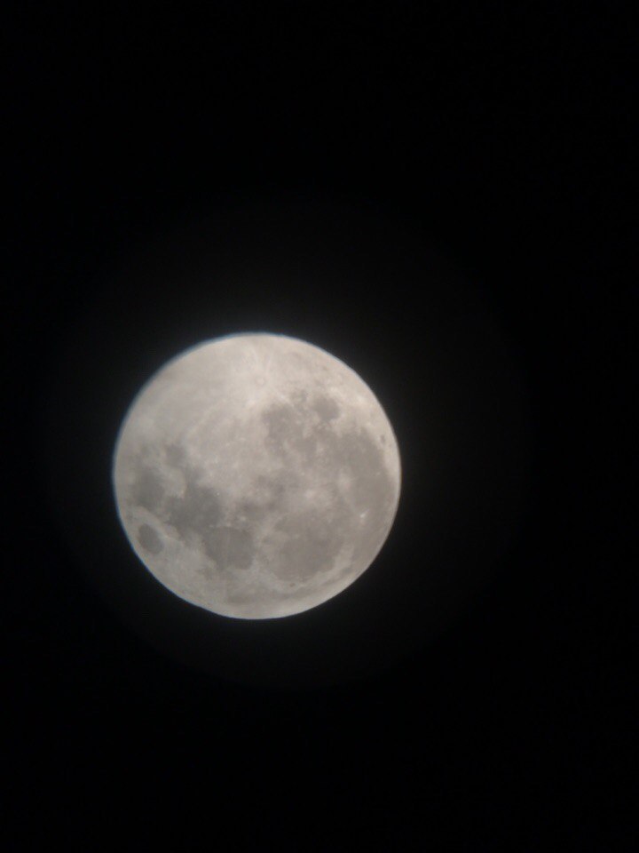 луна 1.jpg