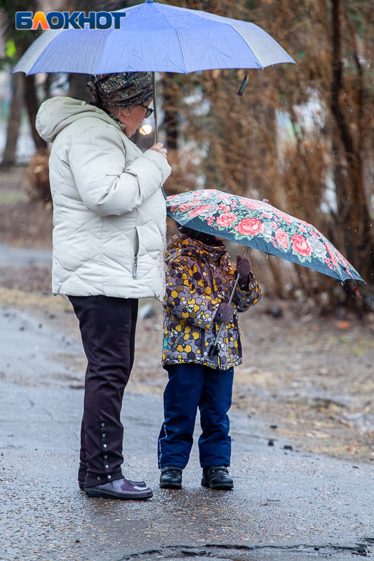 IMG_4797.jpg IMG_4797.jpg