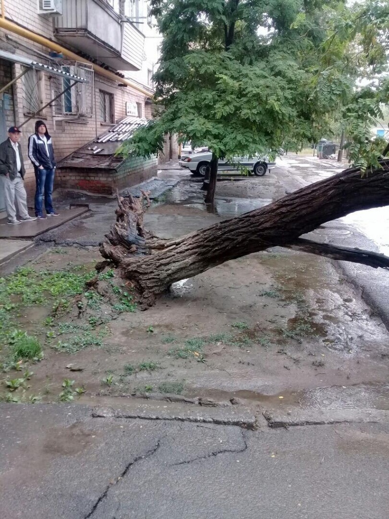 WhatsApp Image 2019-07-13 at 09.26.24.jpeg WhatsApp Image 2019-07-13 at 09.26.24.jpeg