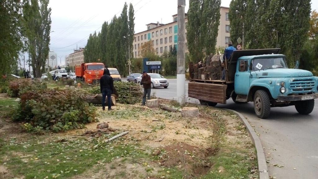 Qut4sCrdDpQ.jpg Qut4sCrdDpQ.jpg